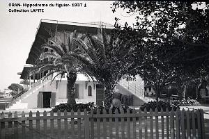 ORAN 1937 HYPPODROME DU FIGIER    (6)